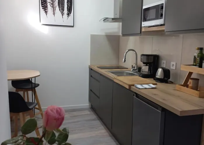 Apartment Rhone Avec Terrace Parking Prive Viviers