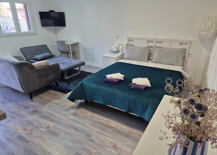 Rhone Avec Terrace Parking Prive Apartment Viviers